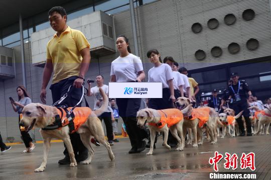 开云真人app下载大学生“以证换狗”走红背后