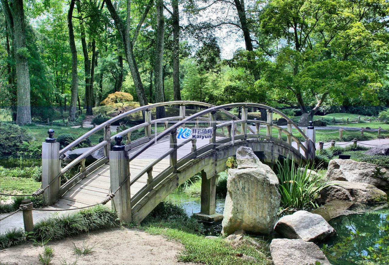 电脑节电模式怎么取消